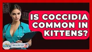 Is Coccidia Common In Kittens? - Ask A Pet Vet
