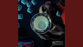 Plus stupide