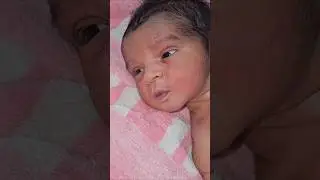 Какие очаровательные 😍 #короткоевидео