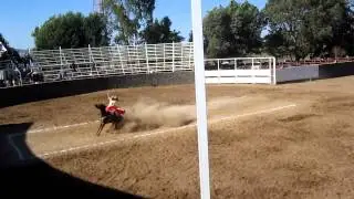 Cala de Caballo por Fabiola Vazquez En San Francisco de Asis. Jalisco