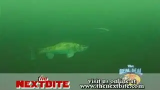 Clear Water Walleye Off Shore Tattle Flag Trolling - The Next Bite - The Real Deal - Season 3