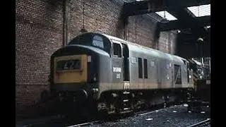 The baby Deltics