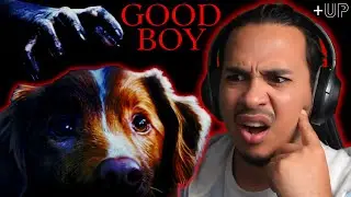 IS THIS THE BEST DOG HORROR MOVIE EVER? | GOODBOY Full Movie REACTION!