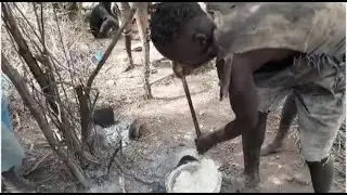  True Hadzabe Bushmen Village Cooking Big Antelope Dinner🍲🔥 #villagecooking #africa