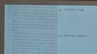 L'homme Adamique 