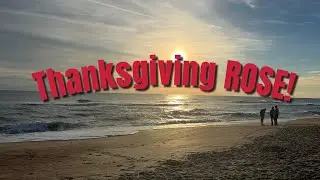 Footage Frenzy A THANKSGIVING ROSE Found While Metal Detecting Mickler's Landing!
