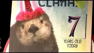 Sea Otter Birthday Party!