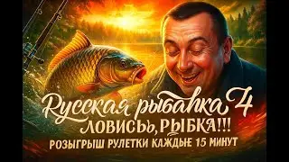 Русская рыбалка 4 🌎Shappard vs павлика)🐠Розыгрыш Silver 80(23.6кг)🔥Снасти,премы и гн в рулетке🔥