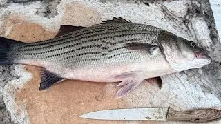 How to fillet a fish 