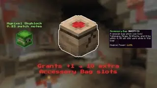 Accessory Bag slots for FREE??? and NEW SHARD!! (Hypixel Skyblock Guide/Tutorial)