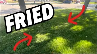 It&rsquo;s Not Lawn Rookie For Nothing Right? 😅
