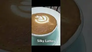 Forget Me Not Cafe - Ossington Strip in Toronto. A 'hood that has it all. EXPLORE TORONTO