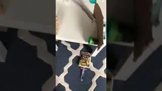 Mia&rsquo;s coin flip rube goldberg machine