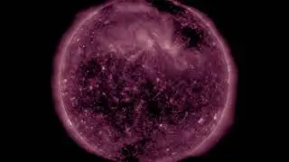 SDO | Data Daily Movies 020920