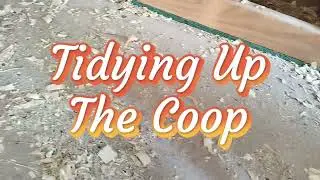 Cleaning Out The Chicken Coop: Fresh bedding makes for happy hens    #freerangechickens #shorts 