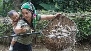 Harvesting Giant Fish From Our Pond With My Young Son | Selling Fresh Fish at the Market