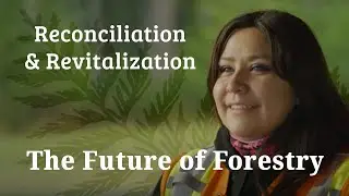 Are you interested in jobs and training in the forest sector?