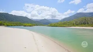 Australia's biodiversity: managing our protected areas