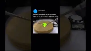 Surgeon uses robotic arm to fold paper crane during laparoscopic surgery practice     ysk84books   X