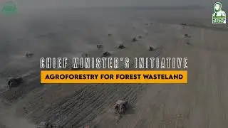 Agroforestry for Forest Wasteland | Green Revolution Under CM&rsquo;s Initiative | FW&F, Punjab