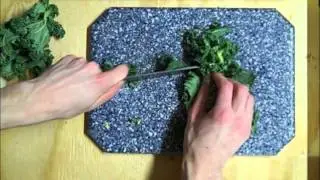 Bearded Dragon Veggie Diet