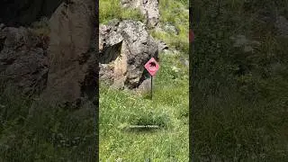 Один день из путешествия на Байкал #влог #челлендж #vlog #studylog #prom #книги