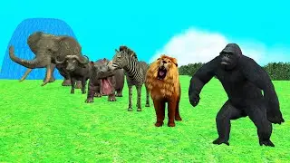 Long Slide Game With Cow Elephant Gorilla Hippopotamus Tiger 3d Animal Game Funny 3d Animals