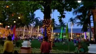cool breeze, sweet smell. makes your day well.