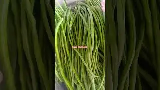 बरबटी की आधुनिक खेती |#kisanmanmauji #farming #viral #shorts #reels #agriculture #sabji #organic #ak