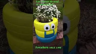 LOS MINIONS ECH&Oacute; DE NEUM&Aacute;TICOS REUTILIZADOS CON SUS FLORES ASOMBROSA IDEAS 💡