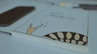my bullet journal setup | summer 2022 edition