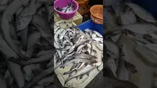 Fish Market Thane #Shorts