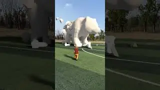 Can this bear apply for the Guinness Book of World Records Douyin Assistant Popular Co-production