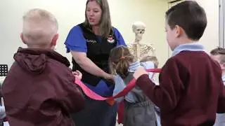 Health Innovation Grants - Amazing Anatomy