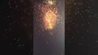 Winning Celebration|B Love Kandy|live moment #shorts