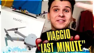 SCIARE AD ALTA VELOCITA' TRA GLI ALBERI / Viaggio Last Minute