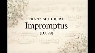Quiet Classical | Schubert Impromptus (D.899) – Calm Piano Music for Study & Focus (1 Hours)