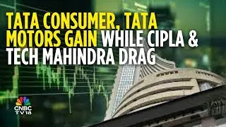 Indices Open Higher Despite Mixed Global Cues; Sensex Up 146 Points At 82,526, Nifty 25,288
