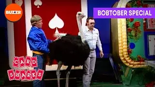 Card Sharks 1987 | Get your HEAD OUT OF THE SAND! There's an OSTRICH ON SET! | BUZZR