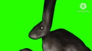 Humanoid Rabbit Jumpscary  Trevor henderson Green screen