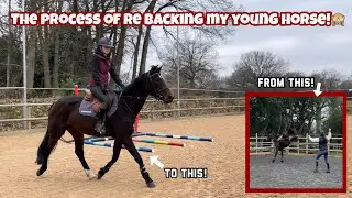 RE-BACKING MY YOUNG HORSE! - The process&hellip;