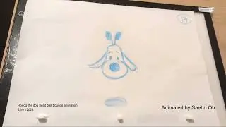 Hodog head ball bounce animation (in 24 FPS)