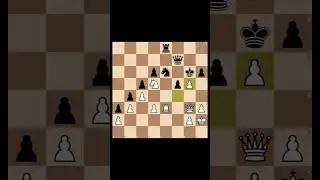 LIVE Chess Traps vs Real Players &ndash; Can They Survive?