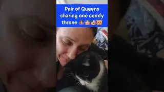 Two Queens, One Throne&hellip; Until Karma Leaves! 😼👑 Part 3