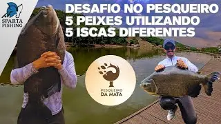 Pescaria e desafio no Pesqueiro da Mata | Será que deu certo?