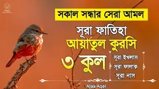 Sura fatiha ayatul kursi 3qul | quran tilawat | Alaa Aqel quran recitation | ayatul kursi 3qul sura