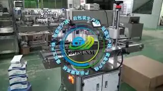 Gosunm Box Side Labeling Machine with Pressure Top 113B