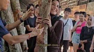 Kuala Sepetang Charcoal Production Mr Chua Documentry