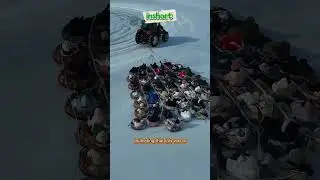 🚜 Mass Snow Tubing Attraction Pulled by a Tractor