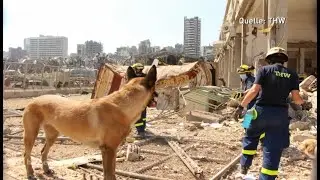 THW-Helfer aus Beirut kommen zurück | hessenschau